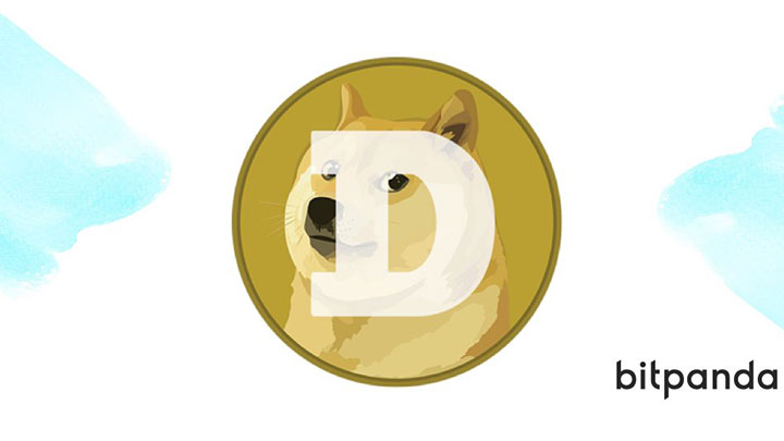 bit panda dogecoin